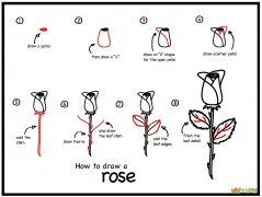 如何画玫瑰花简笔画
