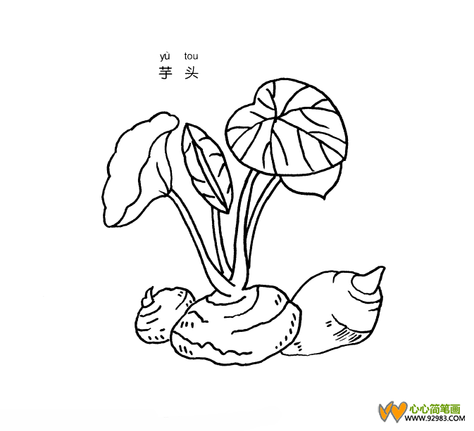 芋头简笔画