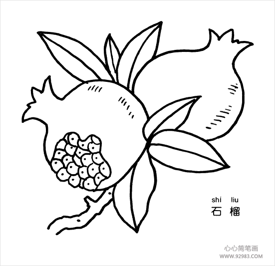 石榴简笔画