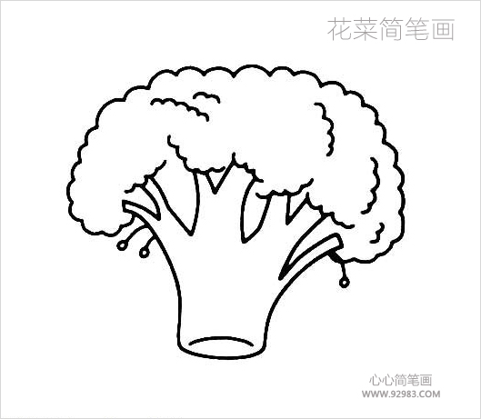 花菜简笔画