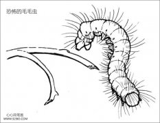 恐怖的毛毛虫简笔画