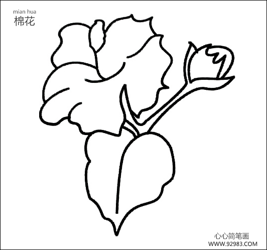 棉花简笔画