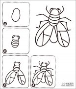 苍蝇简笔画